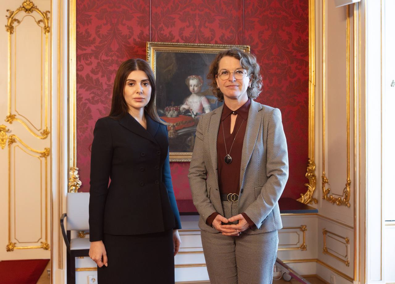 Meeting in Vienna on cultural cooperation