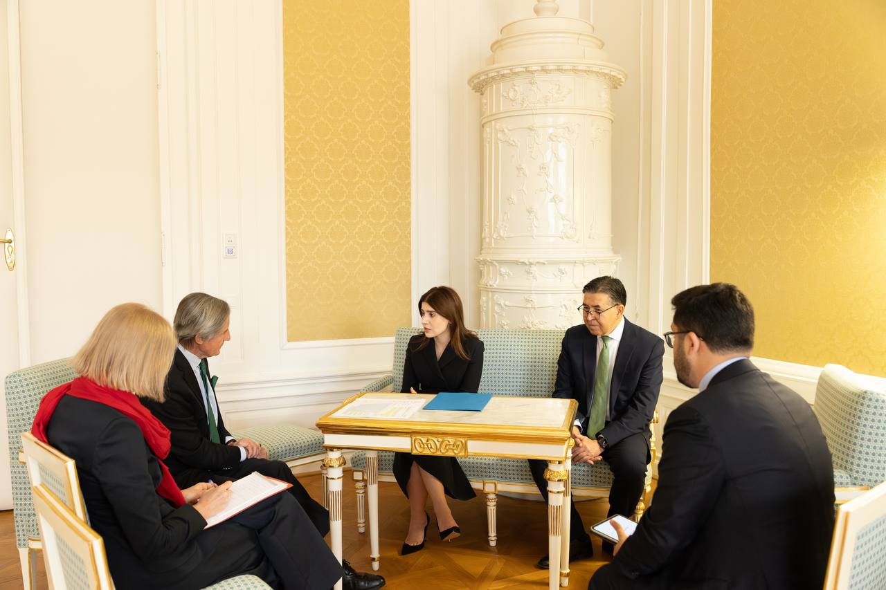 Meeting in Vienna on advancing cultural cooperation with Austria